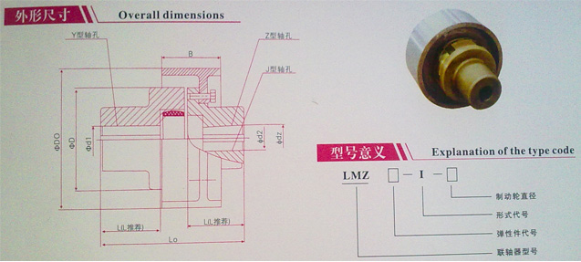 LMZ-1÷εγߴ